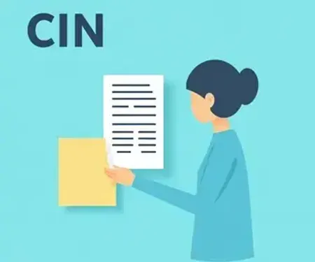 O que precisa para tirar a CIN: Descubra o Passo a Passo!