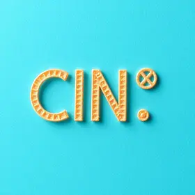 O que é CIN: Entenda Esta Sigla e Seu Impacto Atual!