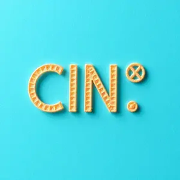O que é CIN: Entenda Esta Sigla e Seu Impacto Atual!
