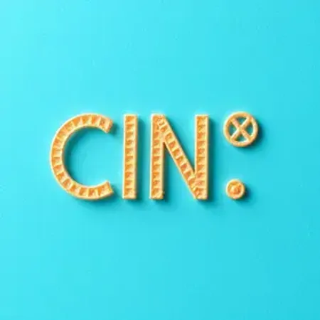 O que é CIN: Entenda Esta Sigla e Seu Impacto Atual!