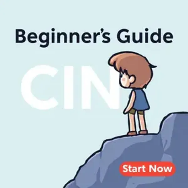 CIN para Iniciantes: O Guia Completo para Começar Agora!