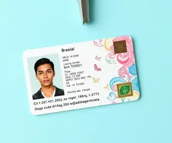 Como Trocar o RG pela CIN: O Guia Completo e Descomplicado