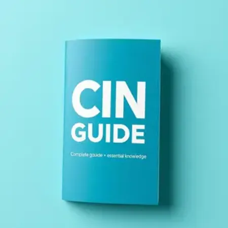 Guia Completo da CIN: Tudo o Que Você Precisa Saber