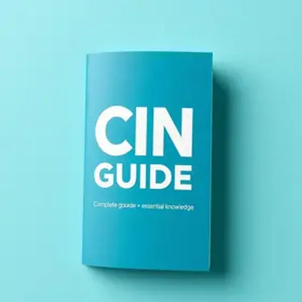 Guia Completo da CIN: Tudo o Que Você Precisa Saber