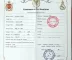 Certidão de Casamento para CIN: O Que Você Precisa Saber